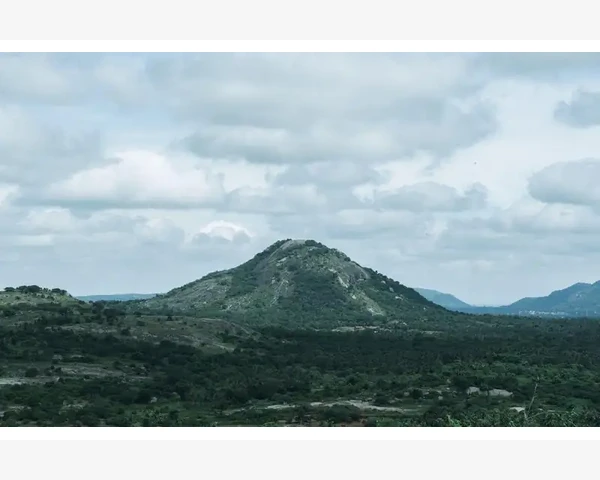 产后脾胃调养，为健康妈妈保驾护航